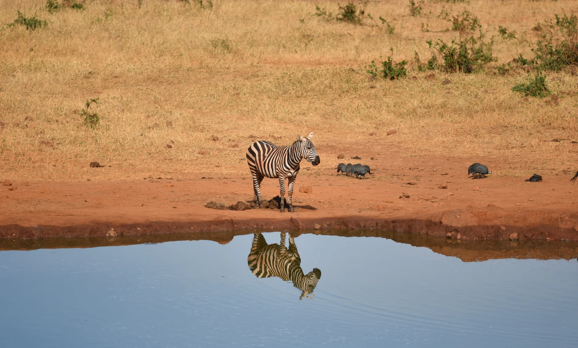 Ruma National Park Experience