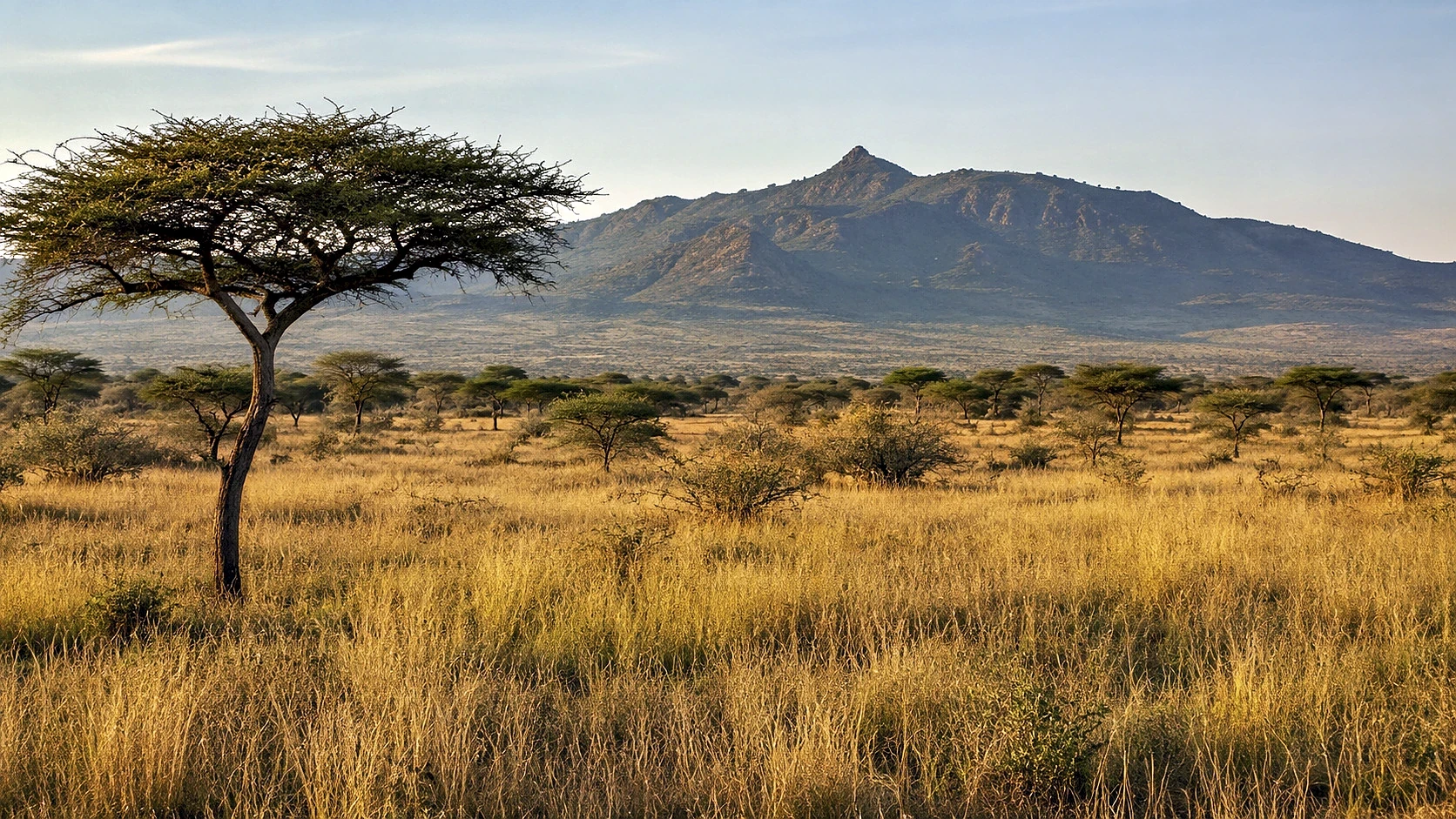 Amboseli Under Kilimanjaro