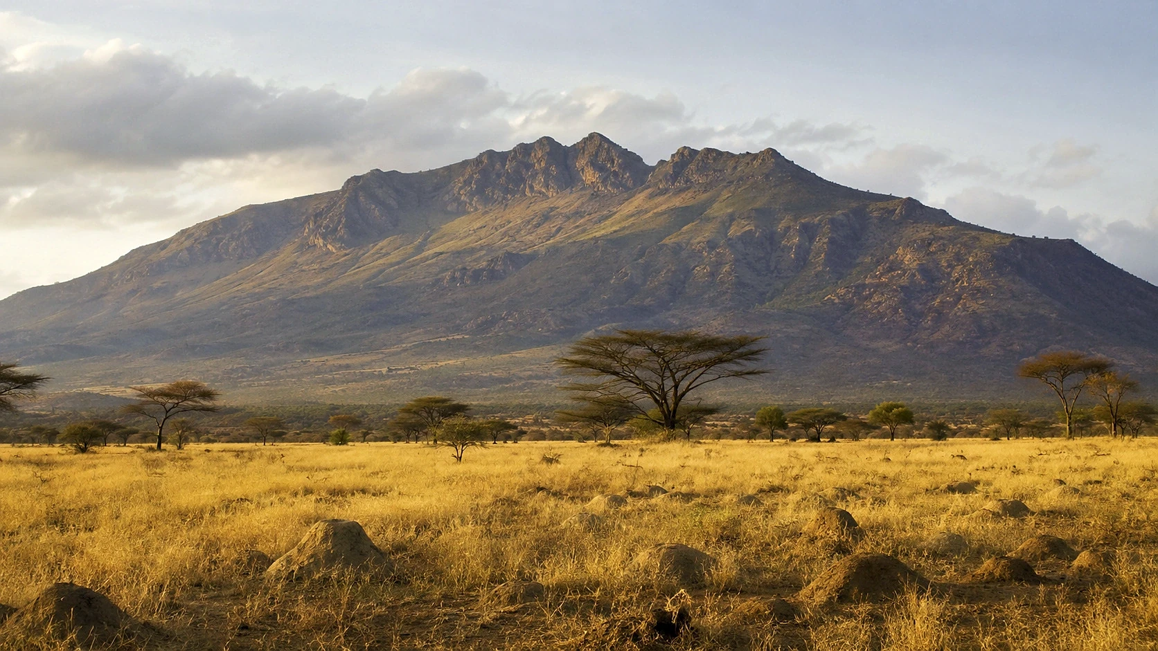 Mara Luxury Flying Safari