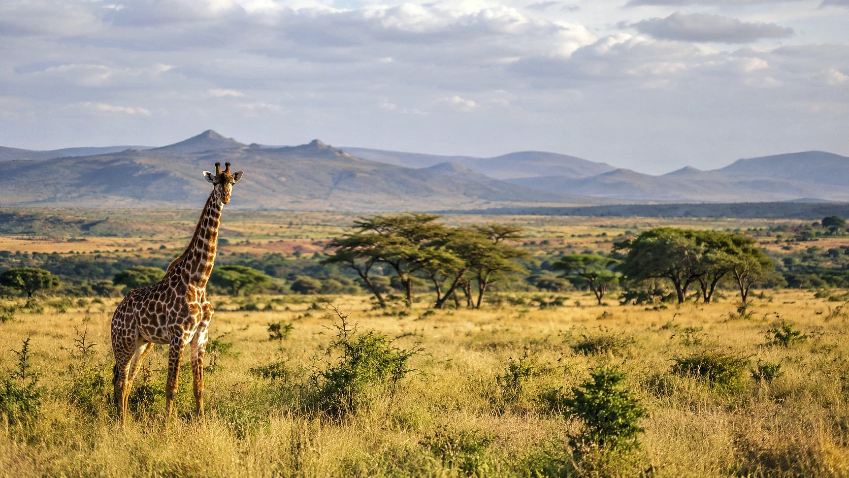 Meru Wilderness Fly-In