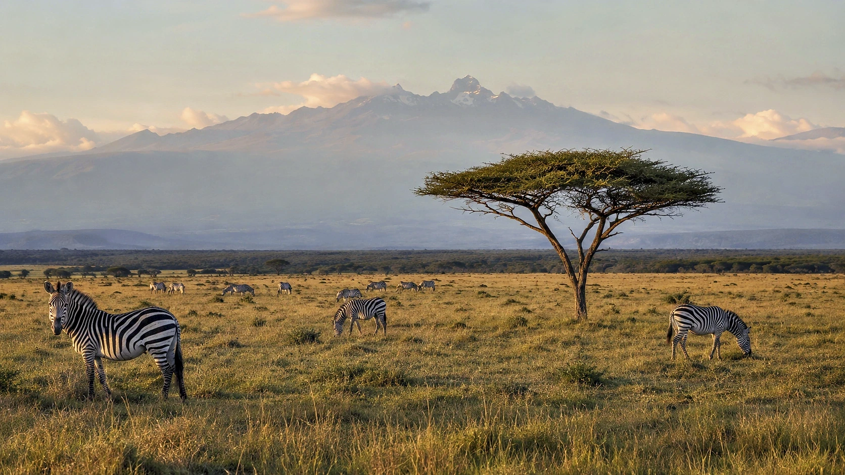 Kenya Fly-In Signature Safari