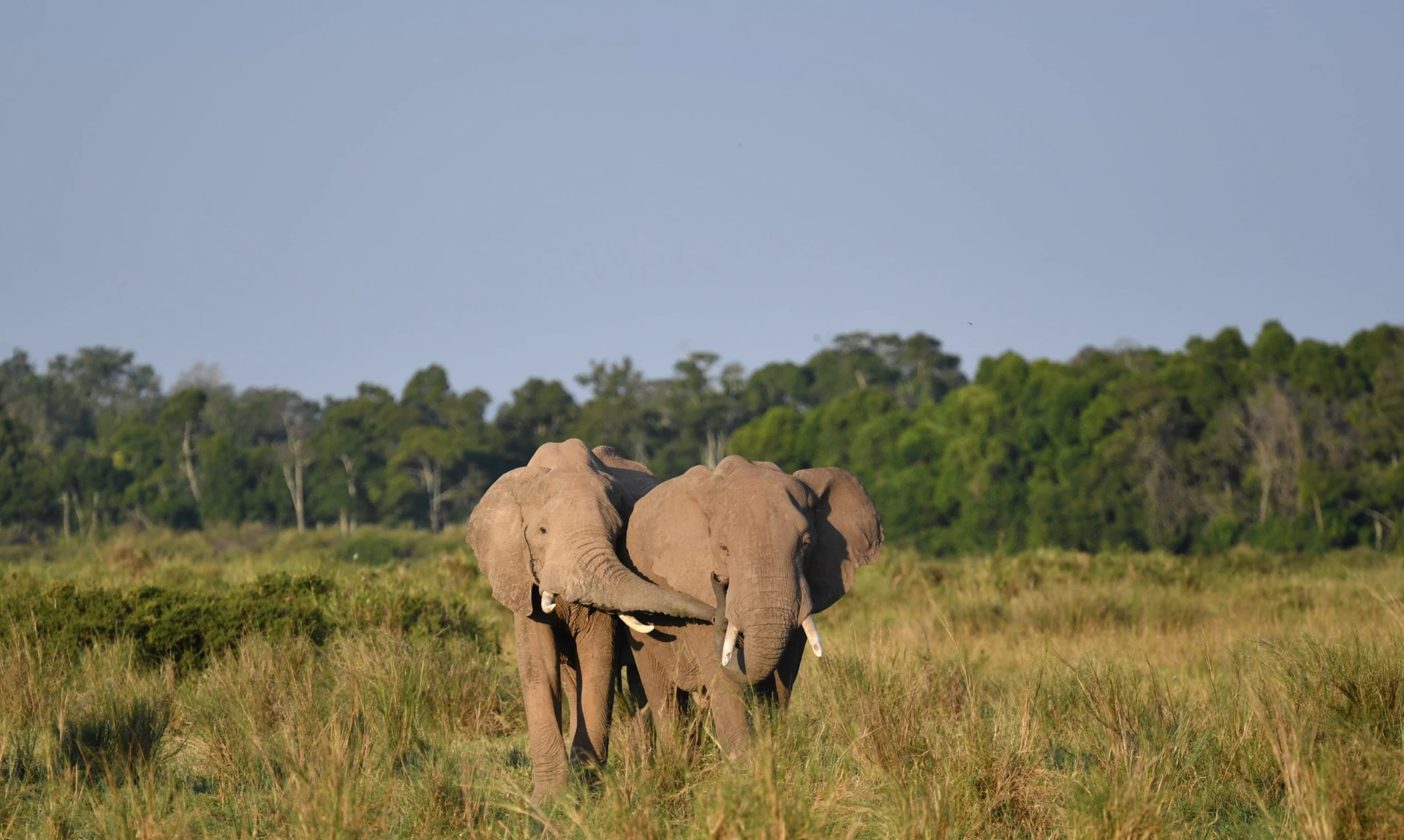 Sunward Kenya Air Expedition