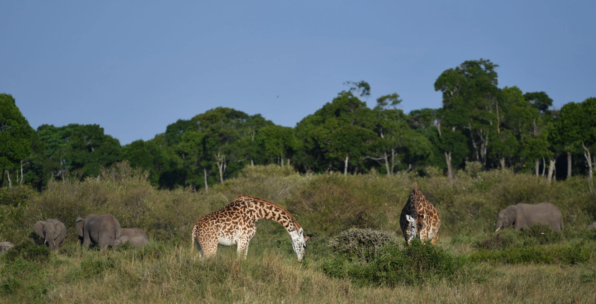 Amboseli Flying Adventure