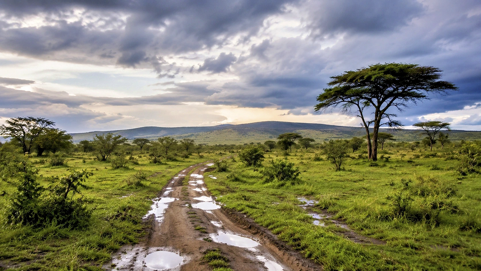 Tsavo Luxury Escape