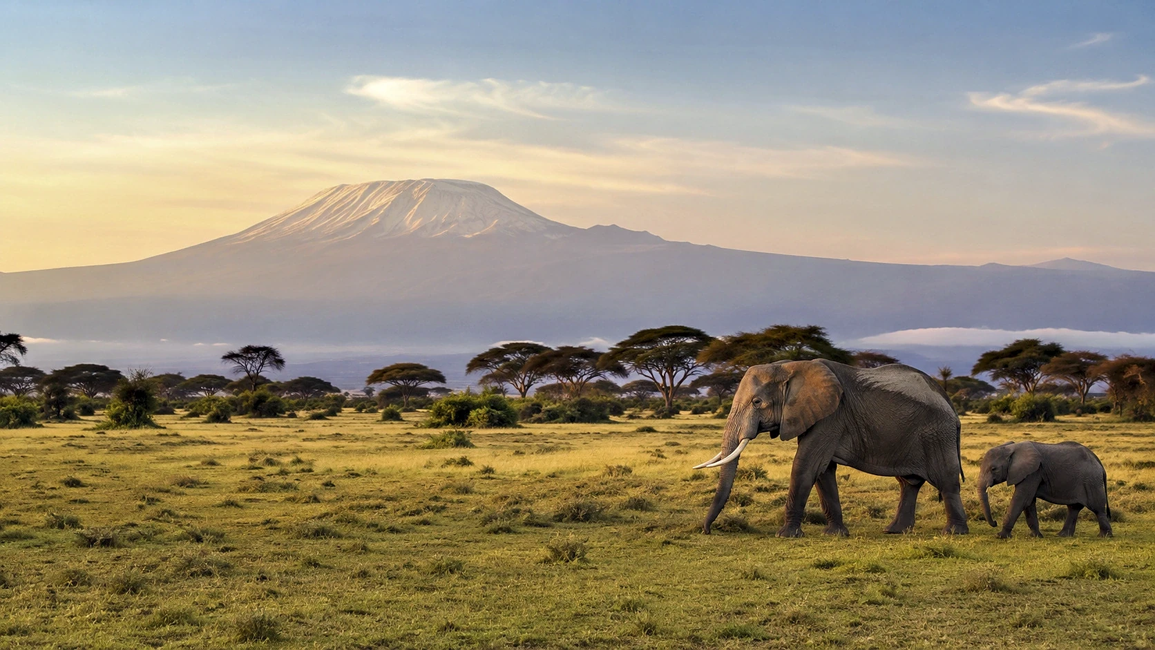 Kenya Fly-In Highlights
