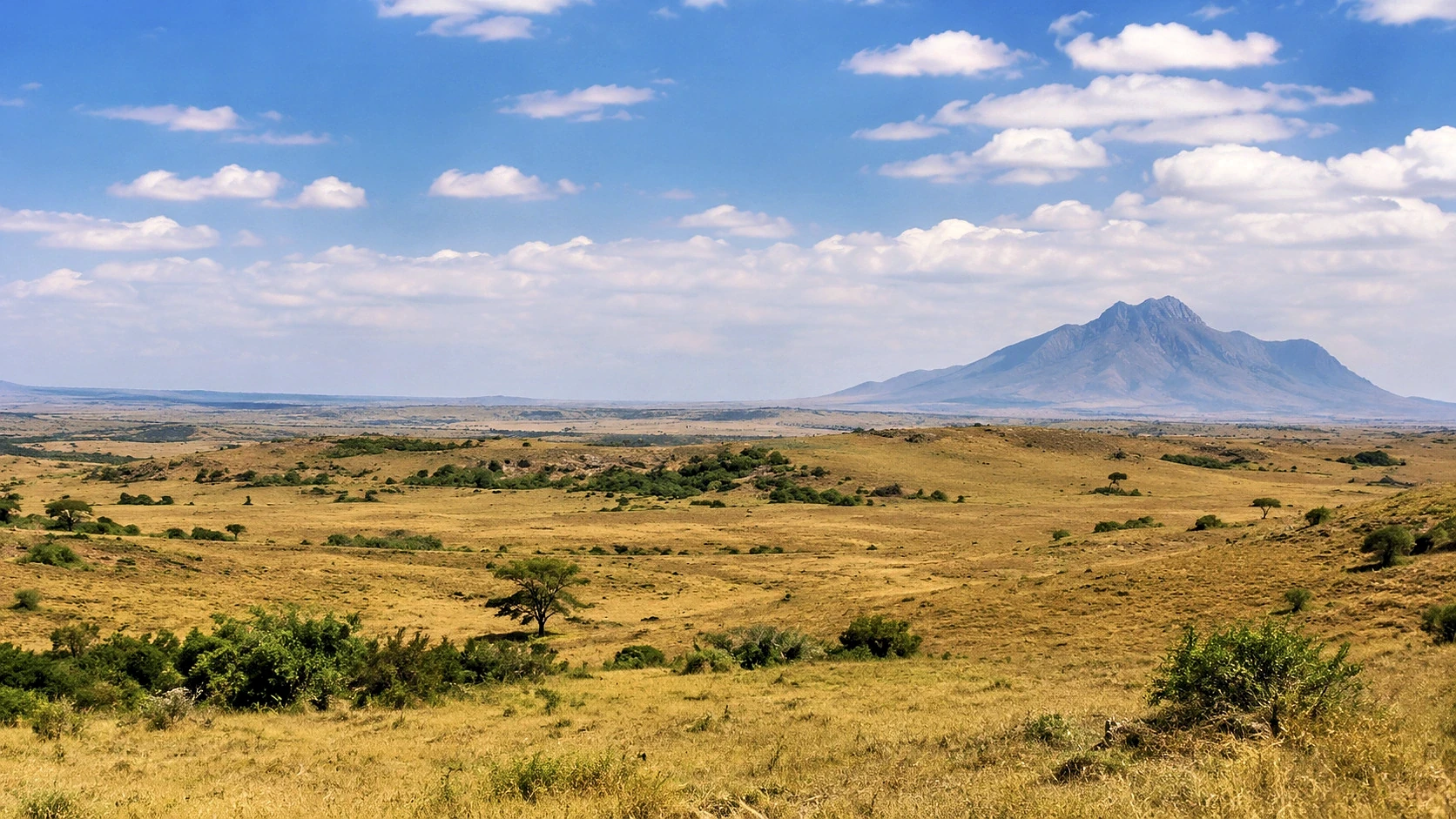 Ultimate Kenya Air Safari