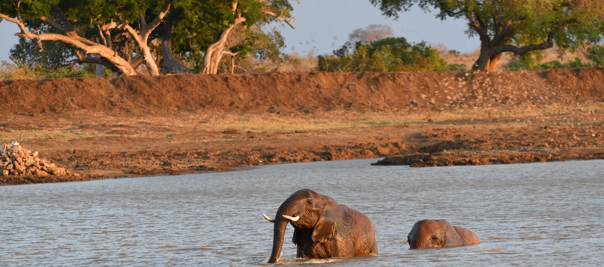 Karen Wildlife Experience