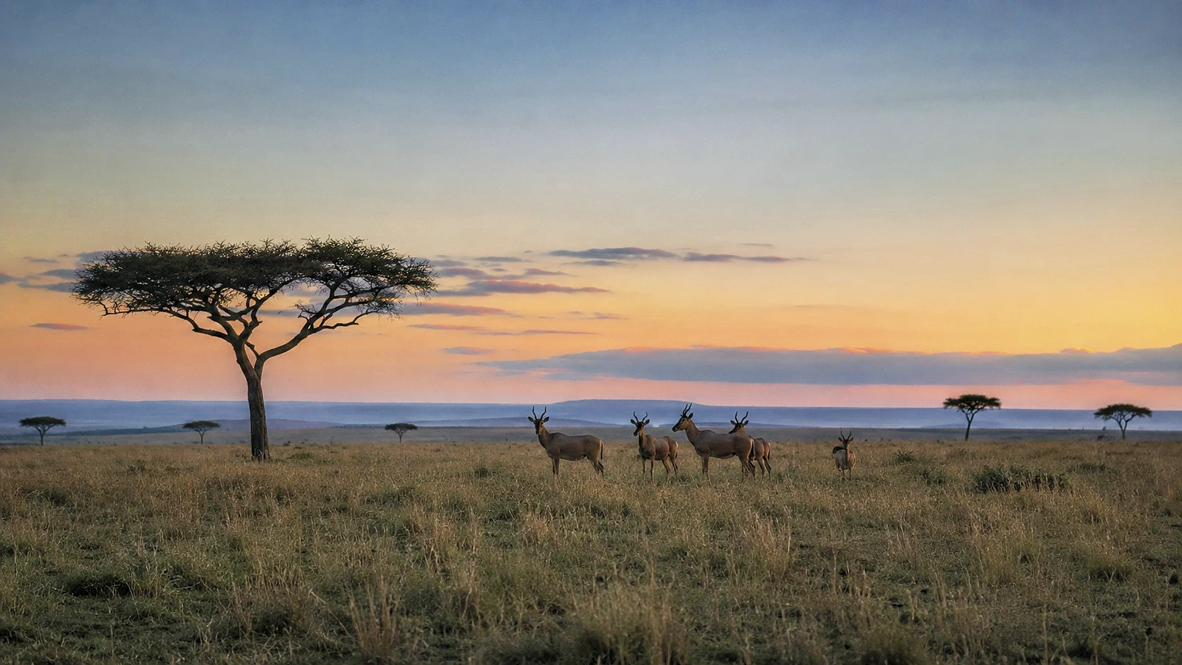 Crafted in Kenya