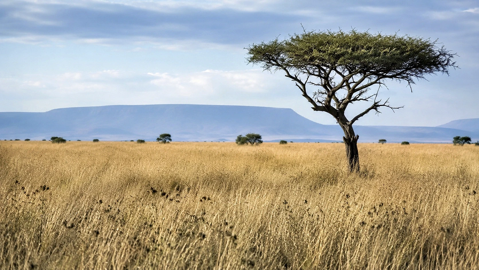 Ol Donyo Sabuk Adventure
