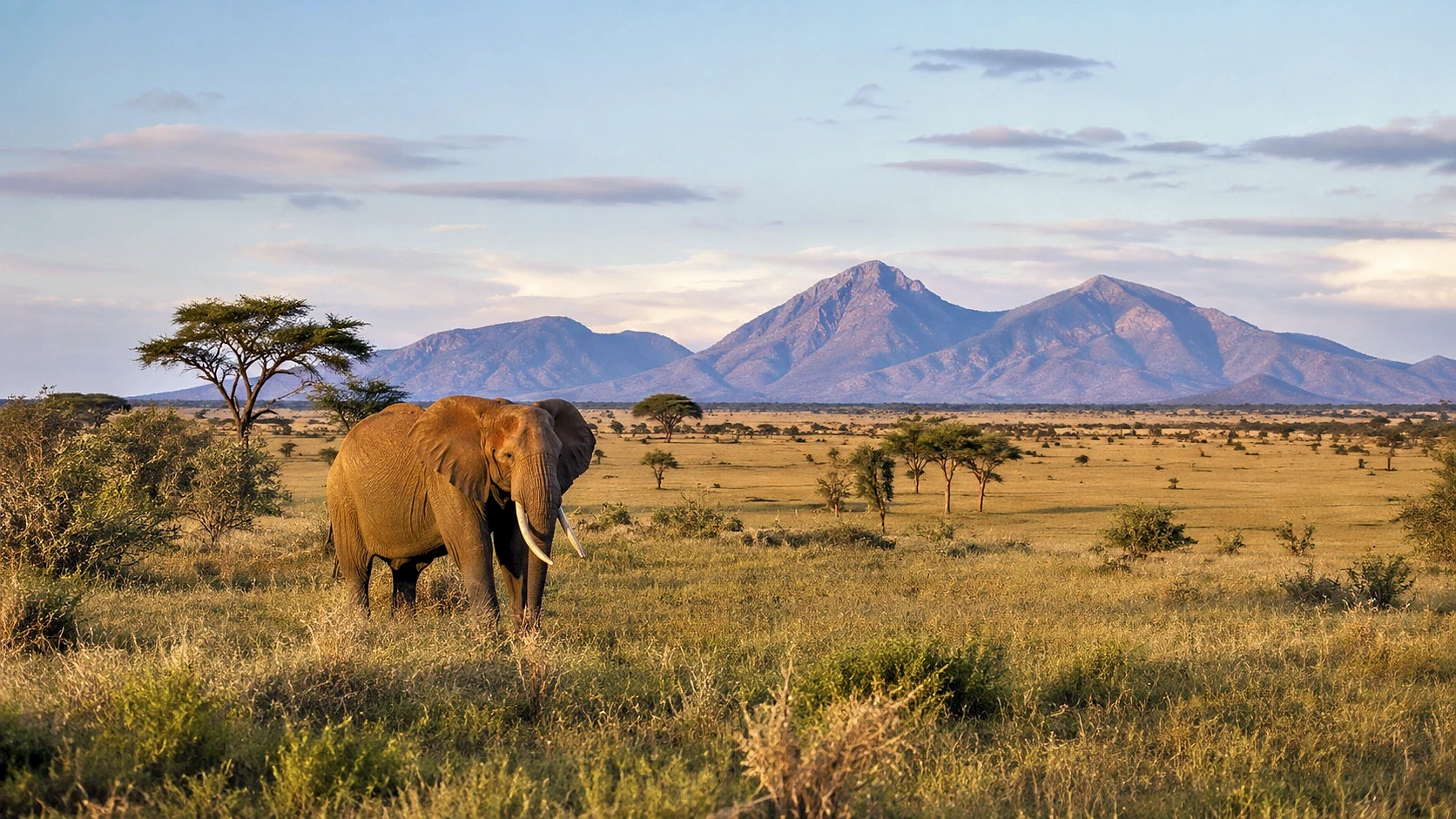 Rift Valley Explorer