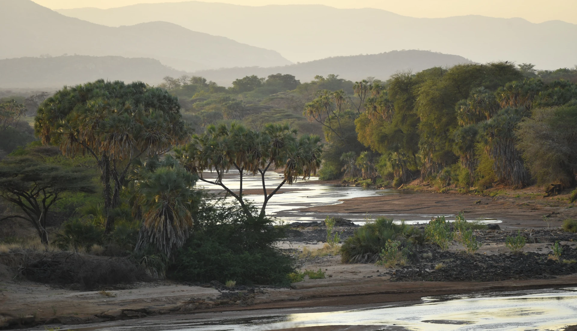 Samburu Flying Experience