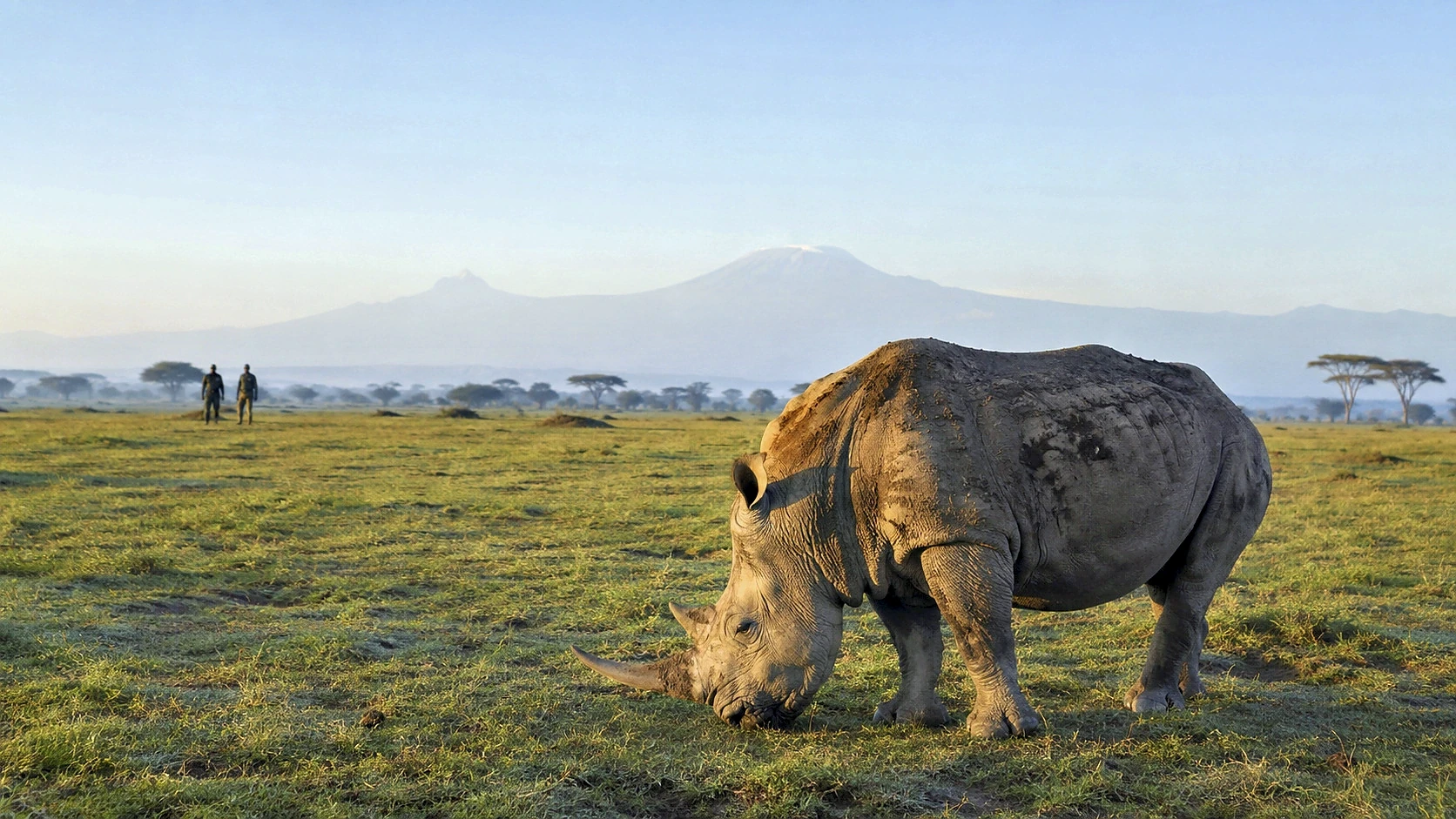 Ol Pejeta Flying Experience