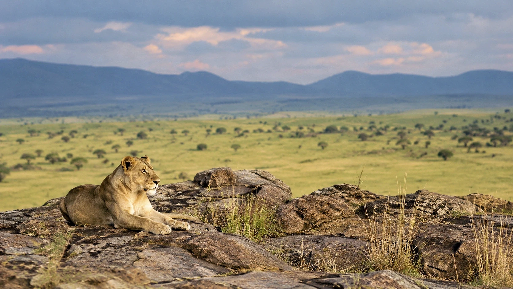 Meru Wilderness Flying Experience