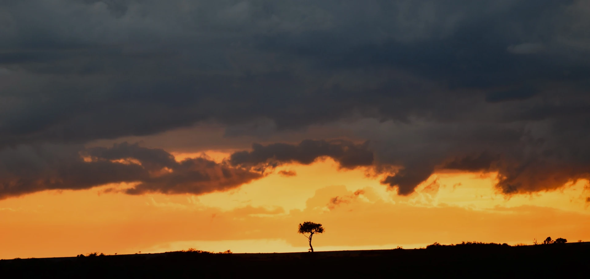 Sunset Tamarind Experience