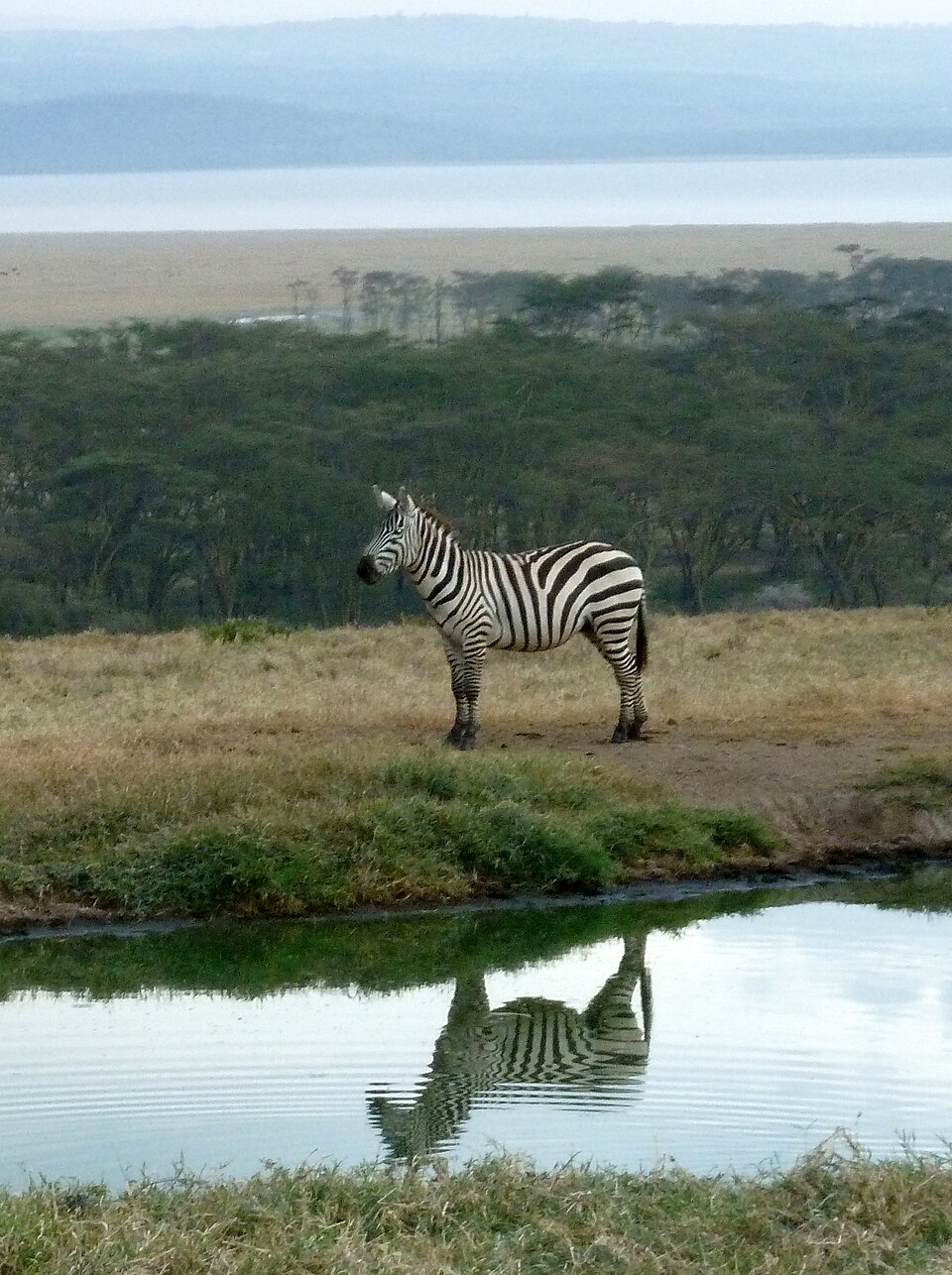 Lake Nakuru National Park