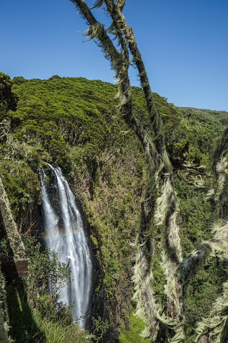Aberdare National Park