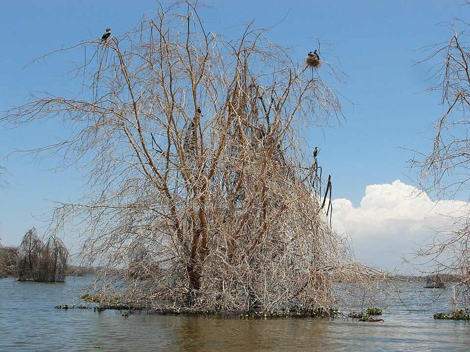 Lake Naivasha National Park