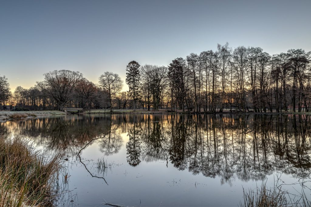 Capital City Explorer — Dülmen, Wildpark 2019 3153 9