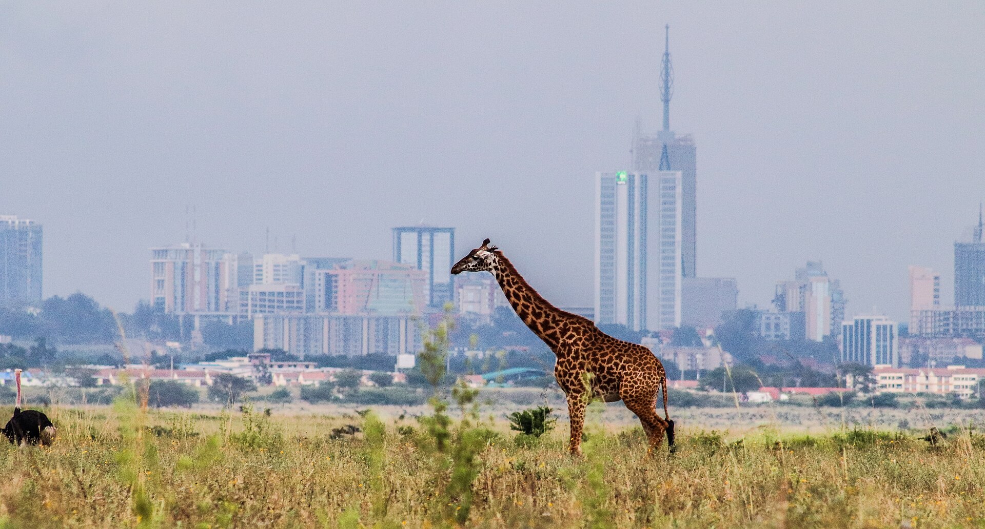 Nairobi Story & Soul