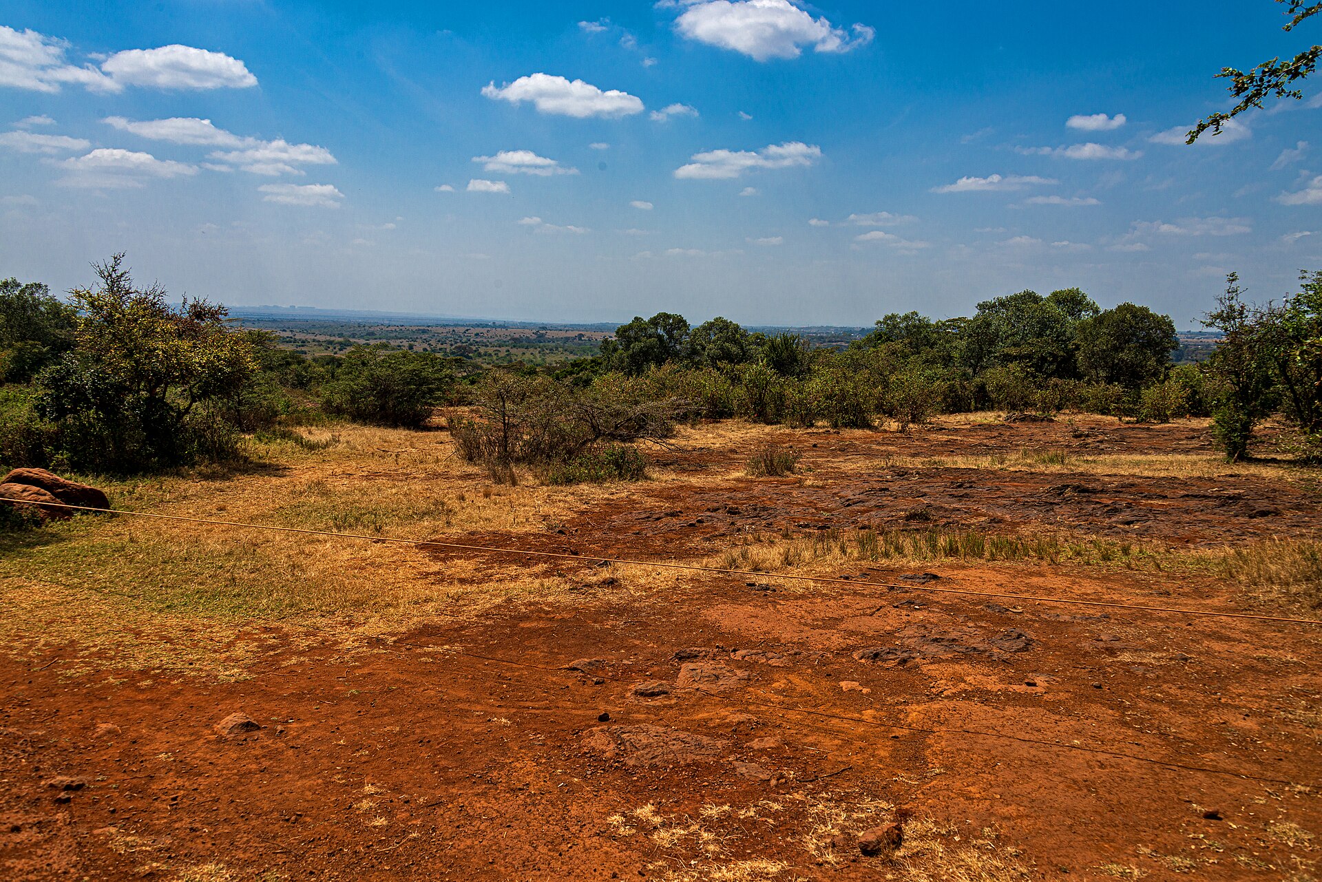 Tea, Trails & Timeless Nairobi