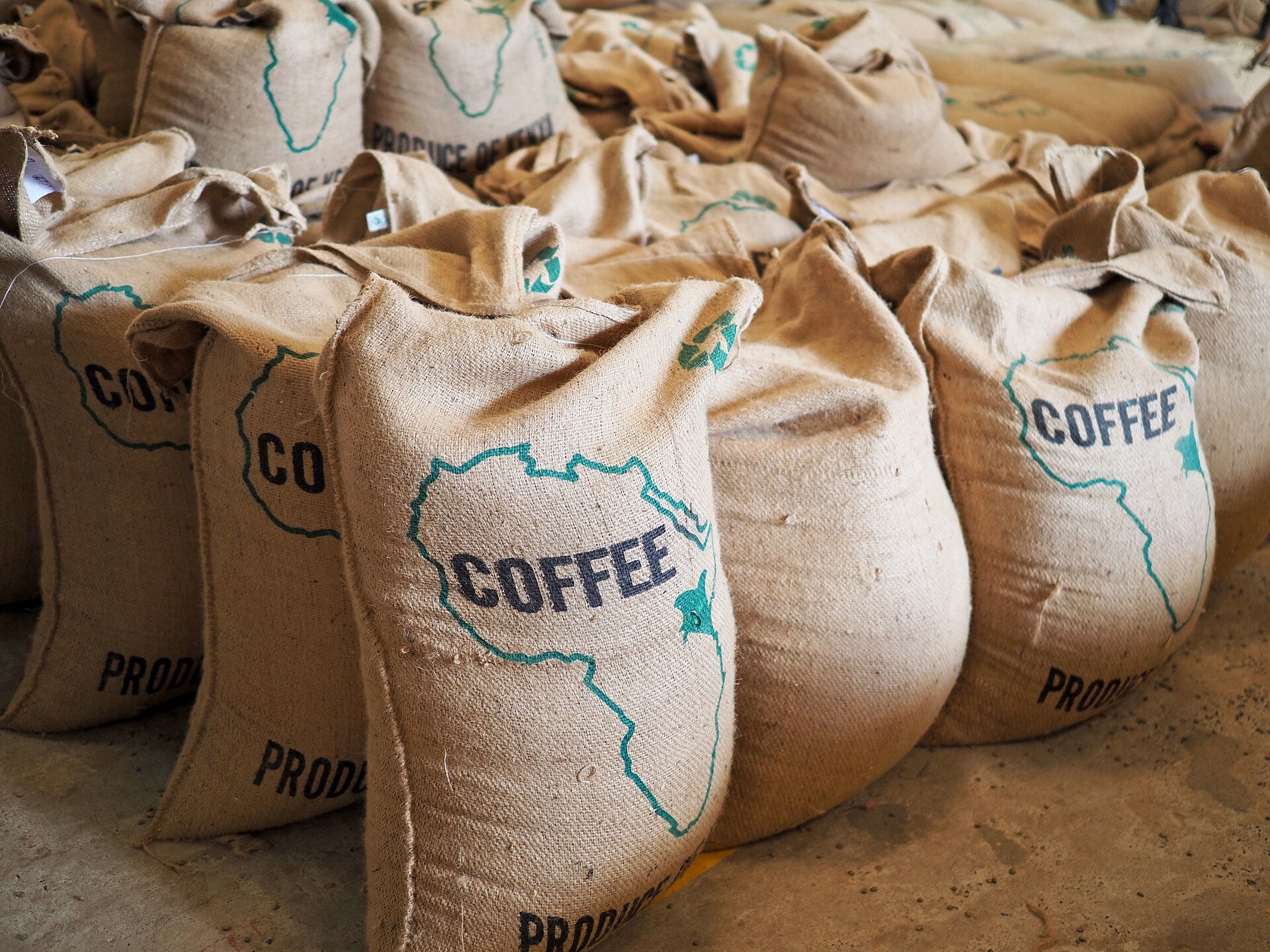 Coffee Country Experience