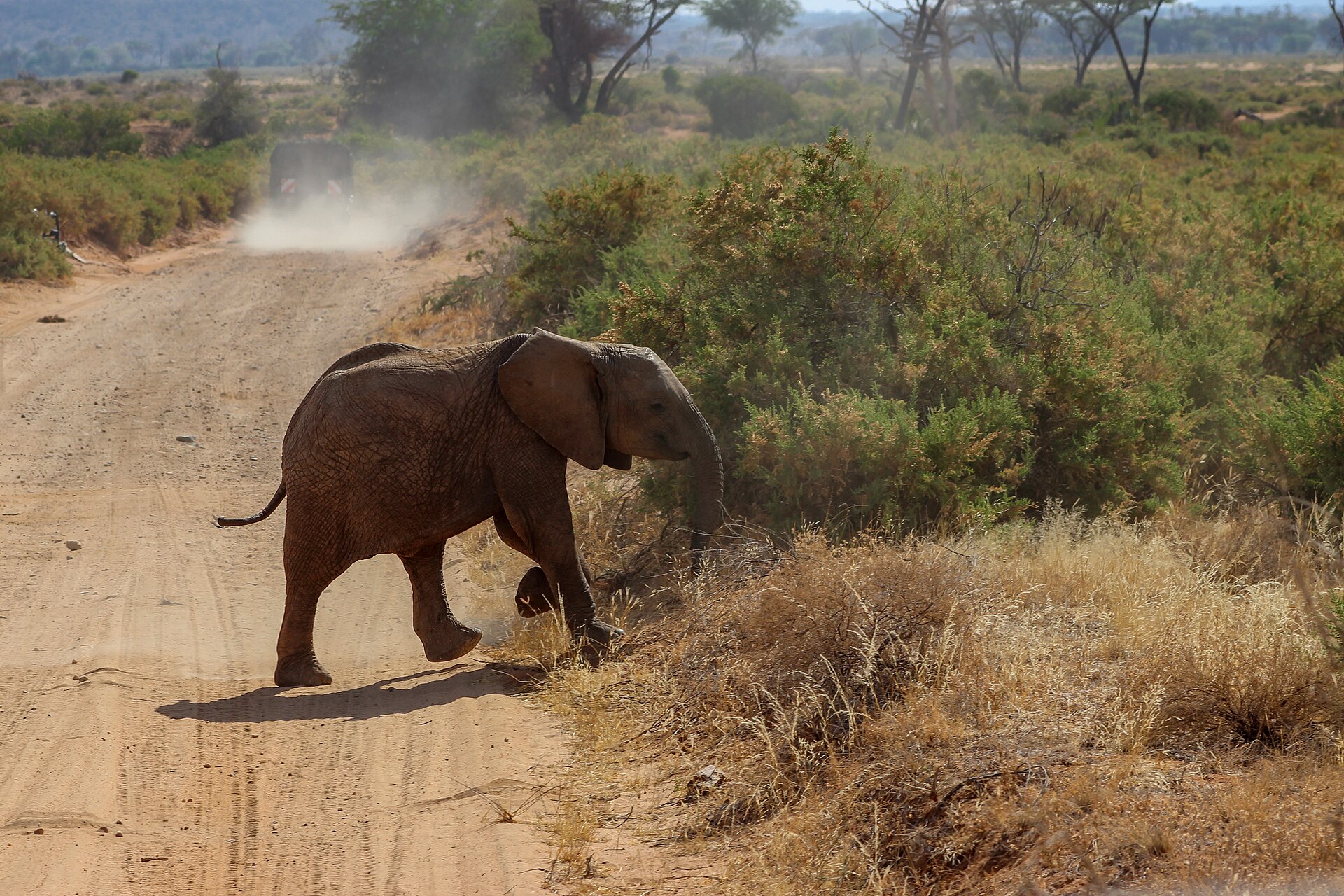 Western Kenya Discovery