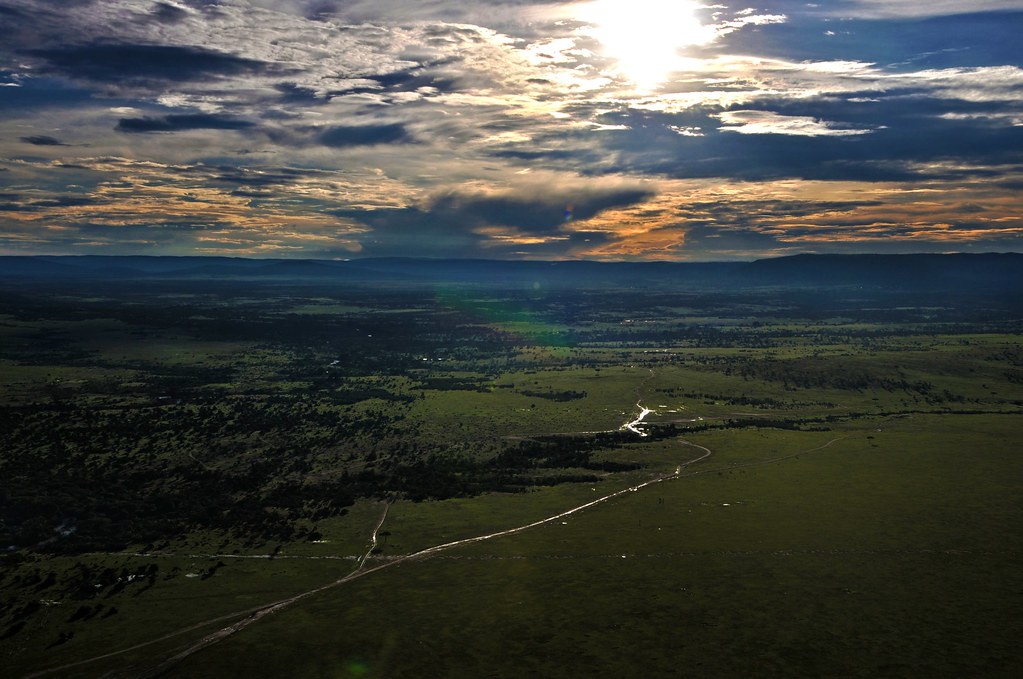 Gombe National Park