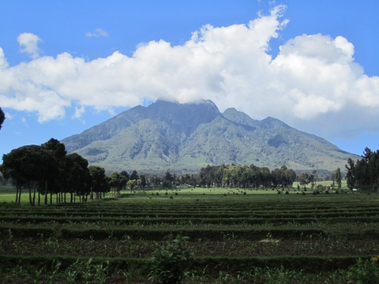 Gishwati Mukura National Park