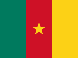 Flag of Cameroon