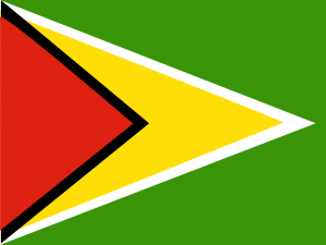 Flag of Guyana