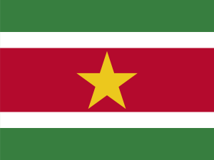 Flag of Suriname