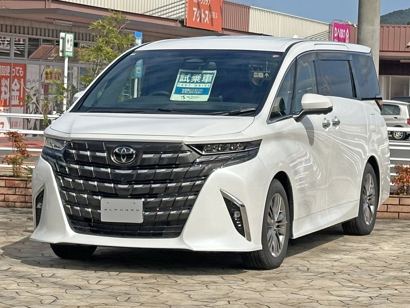 VIP Air-Conditioned Minivan — full exterior, representative vehicle