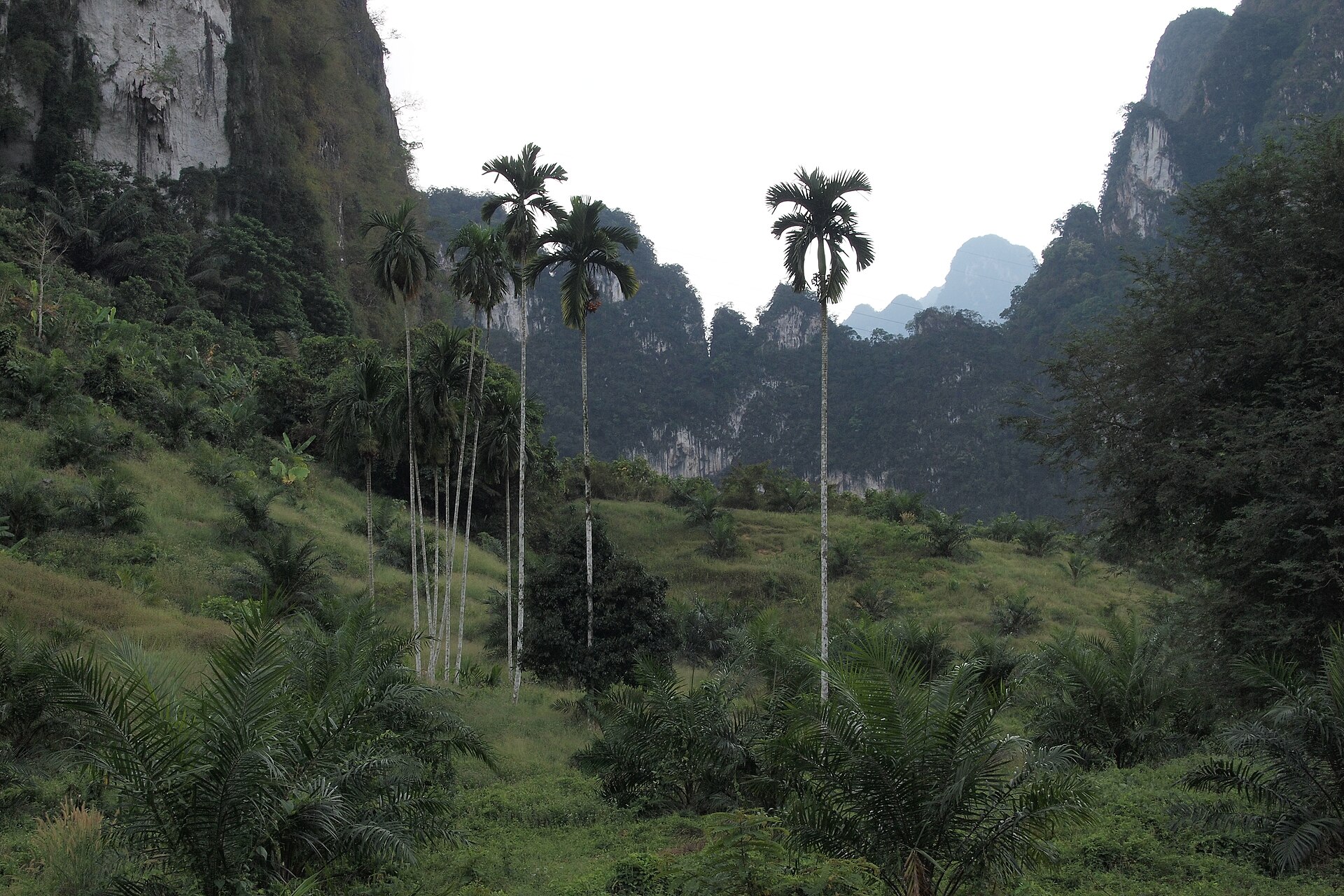 Bangkok & Phuket Discovery