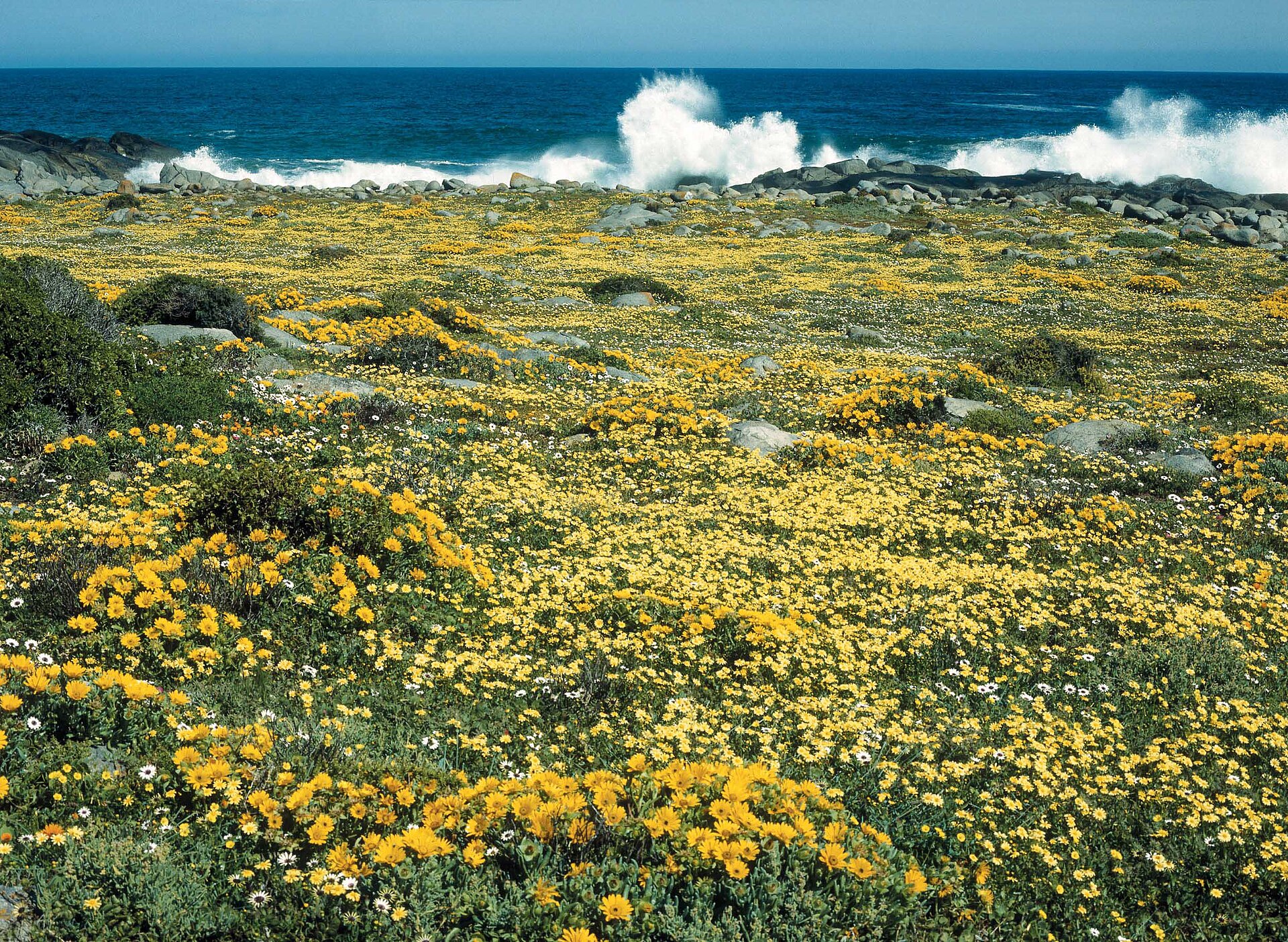 Cape Town & Winelands Escape