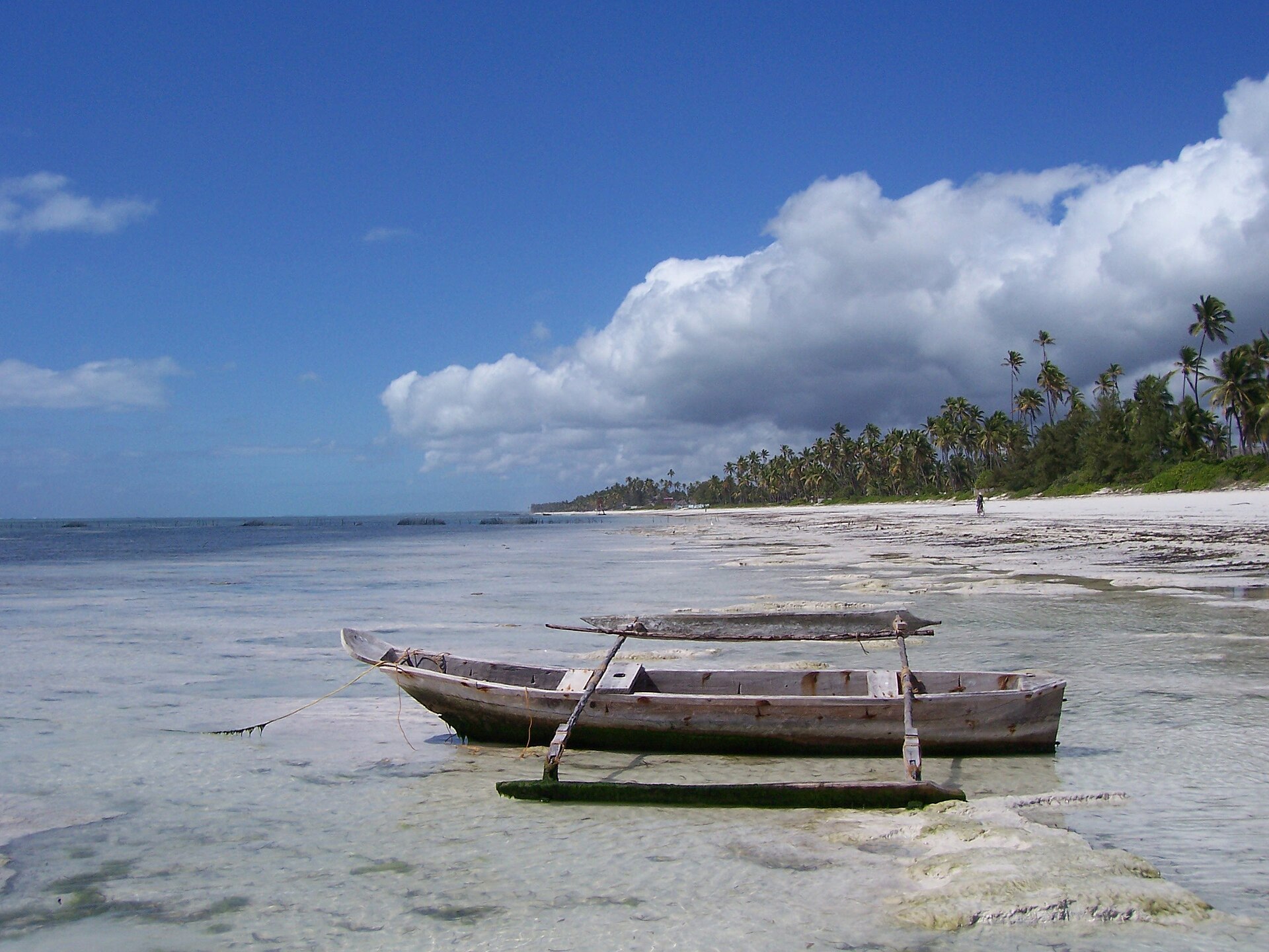 Zanzibar Beach & Stone Town Escape