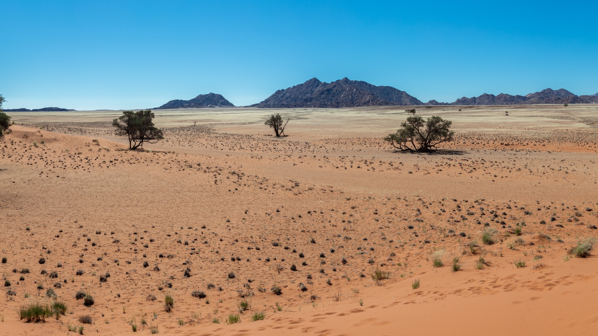 3 Nights — Windhoek & Sossusvlei