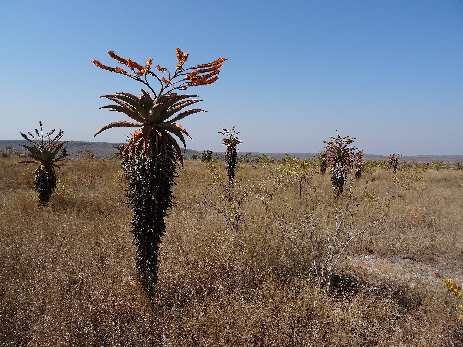 3 Nights — Maputo & Beach Escape