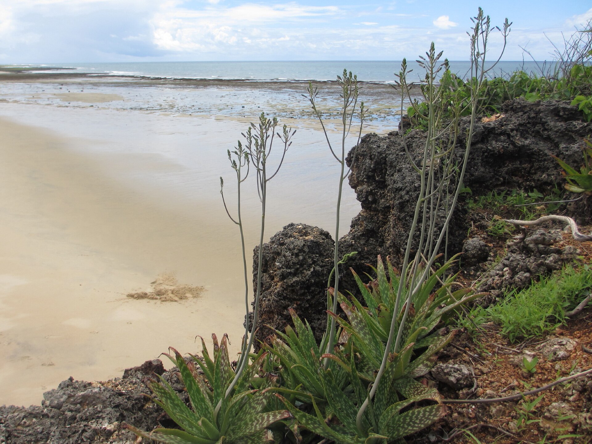 4 Nights — Vilanculos & Bazaruto Escape