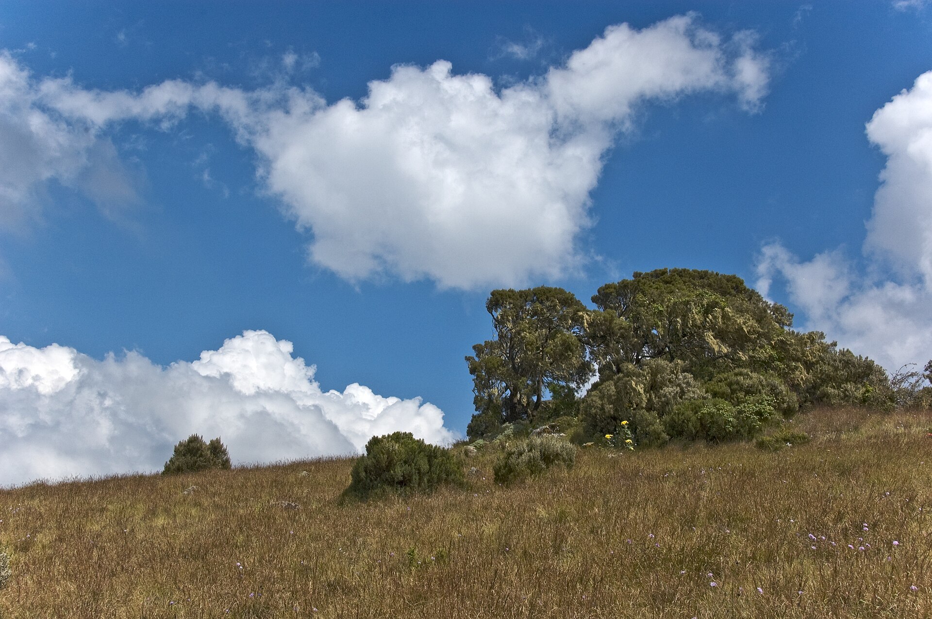 2 Nights — Addis Ababa City Break