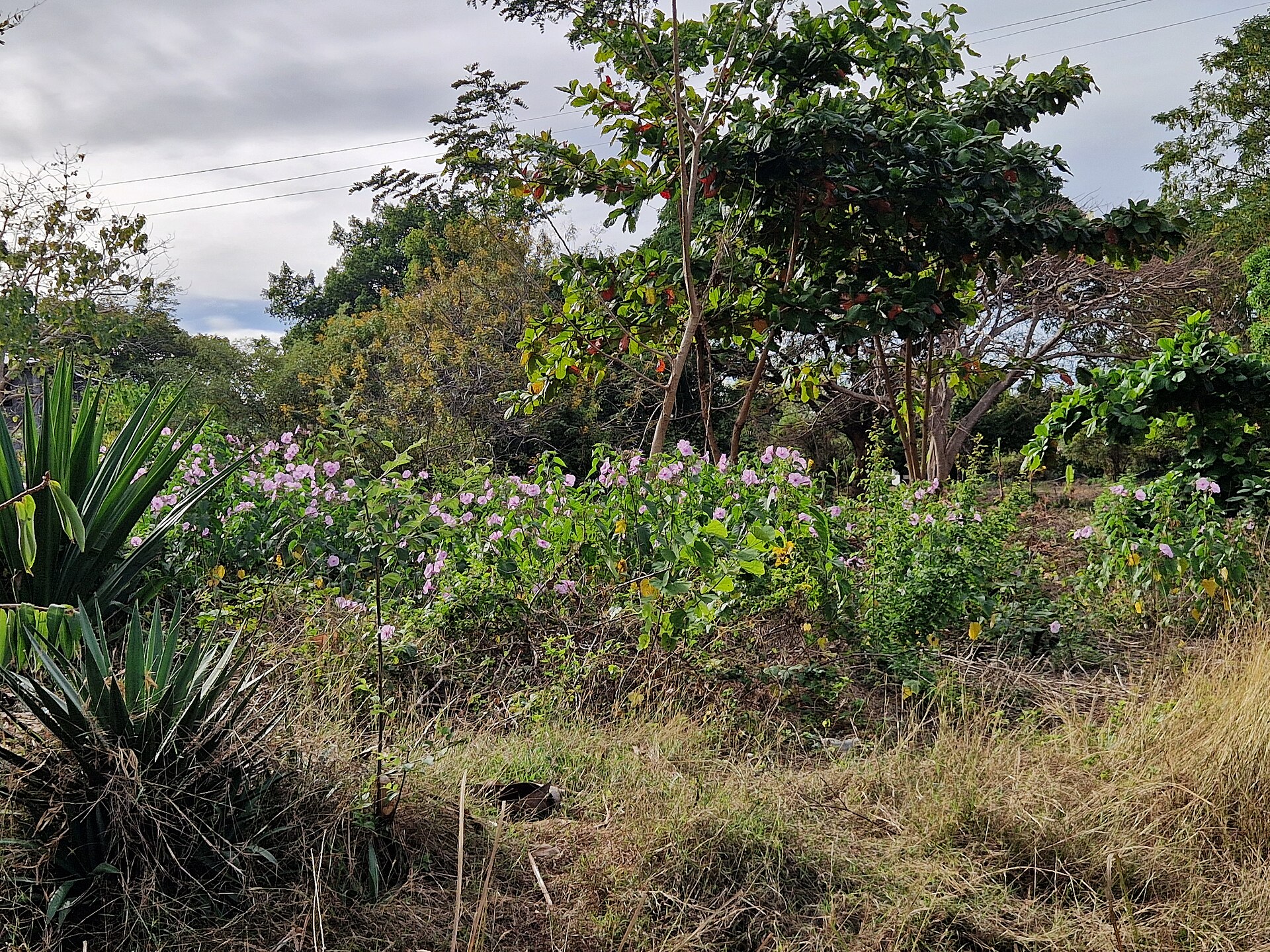 4 Nights — Nosy Be Island Escape
