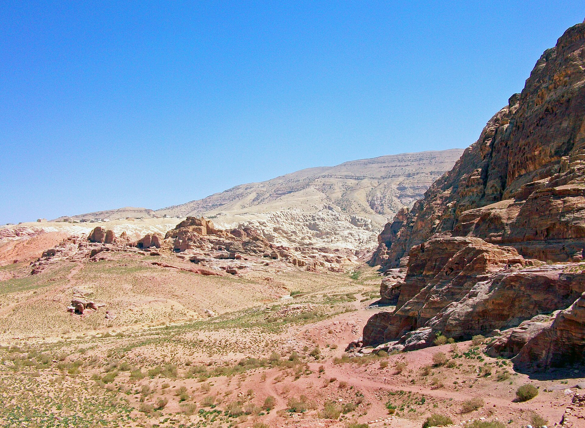 3 Nights — Petra & Dead Sea Experience
