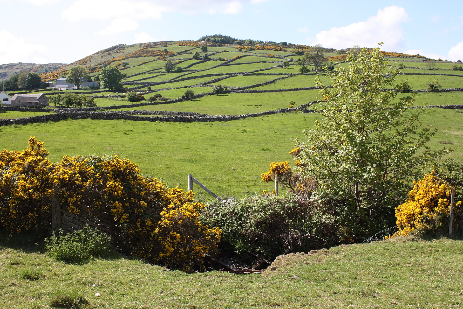 3 Nights — Dublin & Countryside Experience