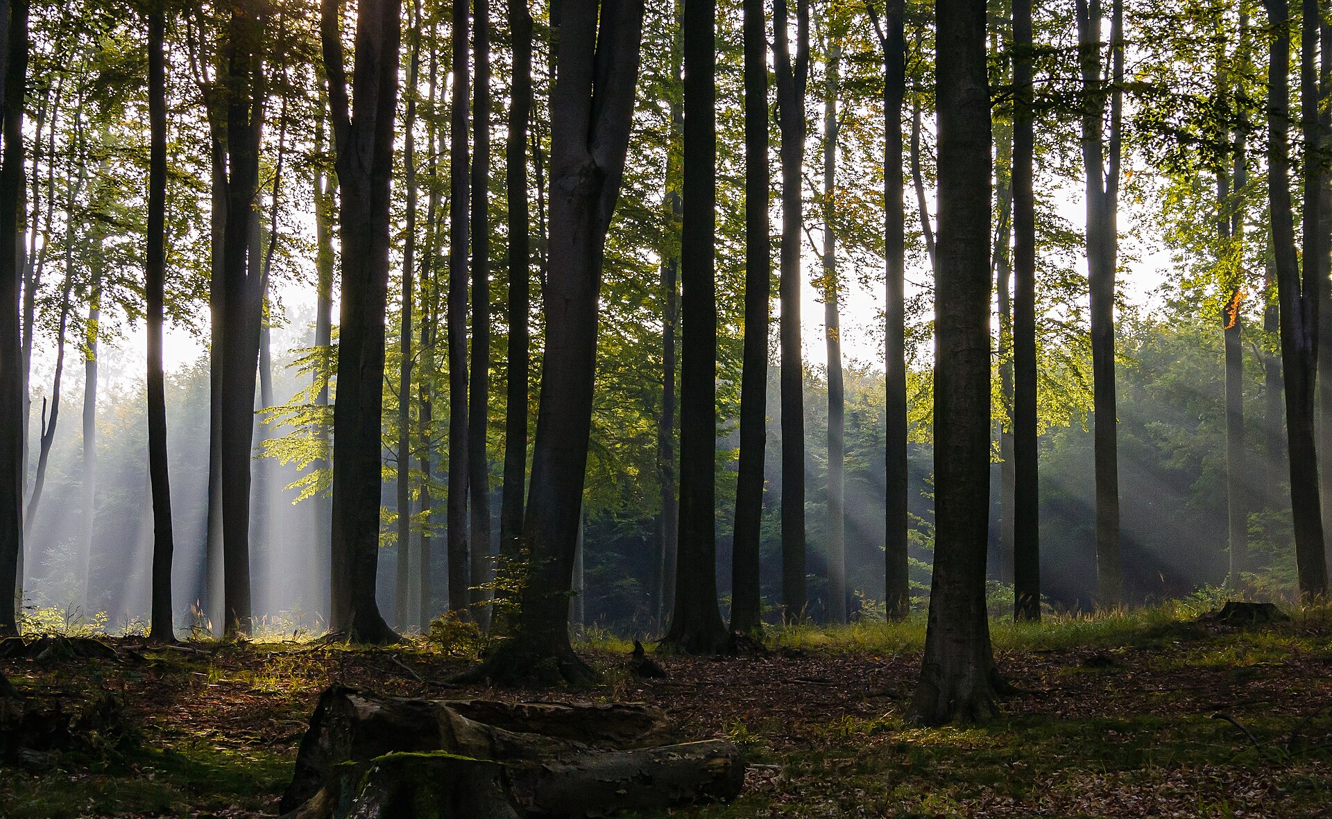 4 Nights — Berlin & Munich Discovery