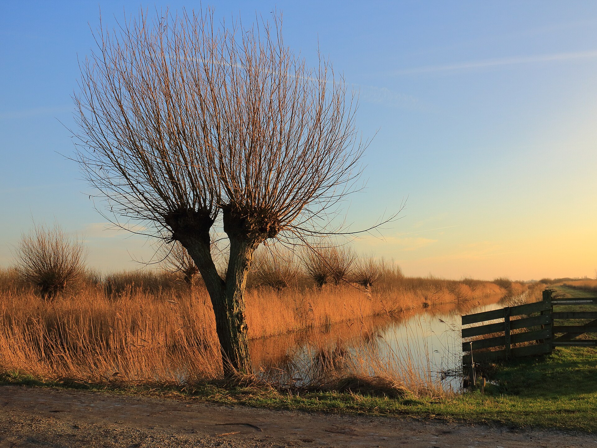 4 Nights — Amsterdam & Dutch Countryside