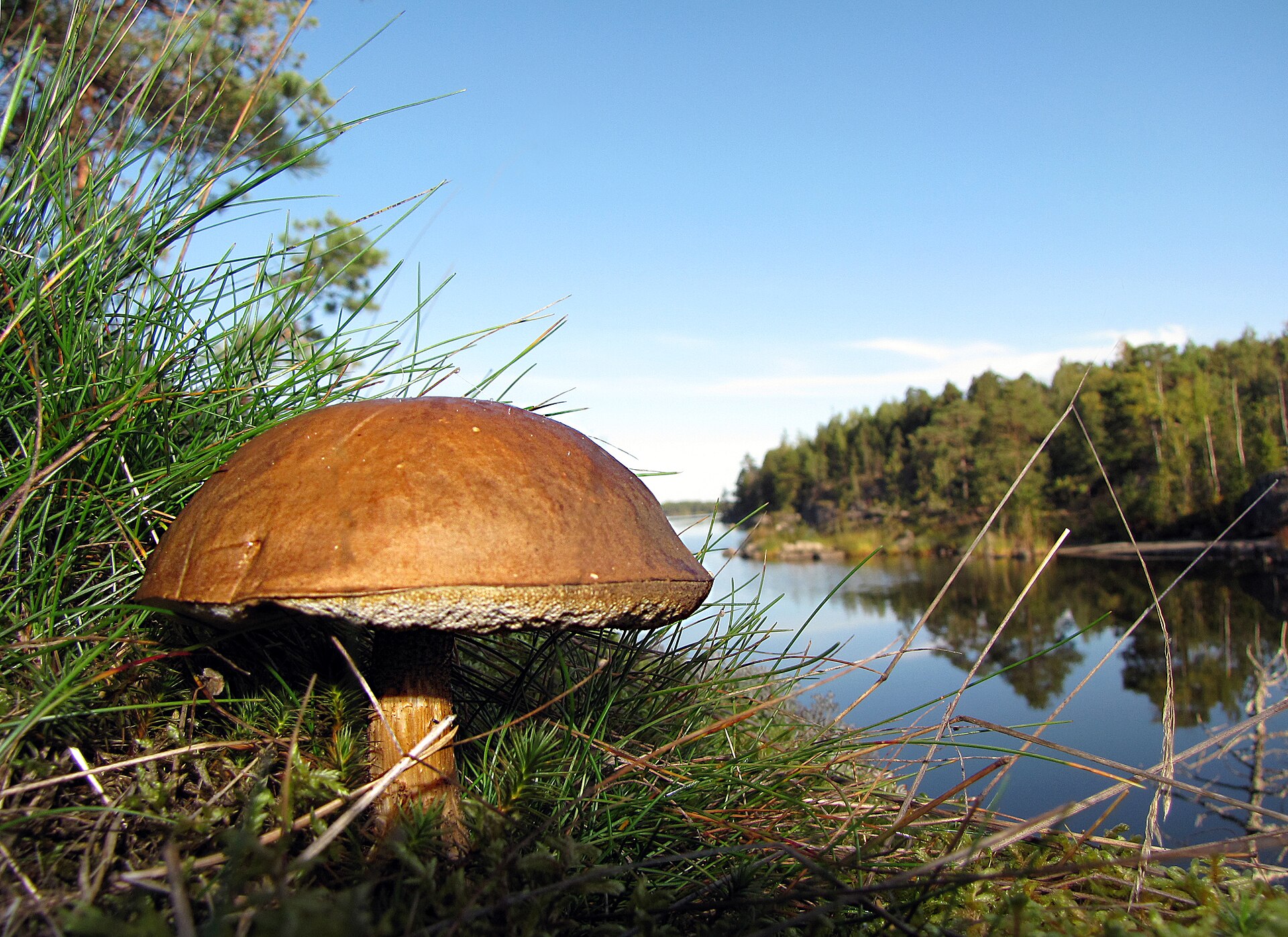 2 Nights — Helsinki City Break