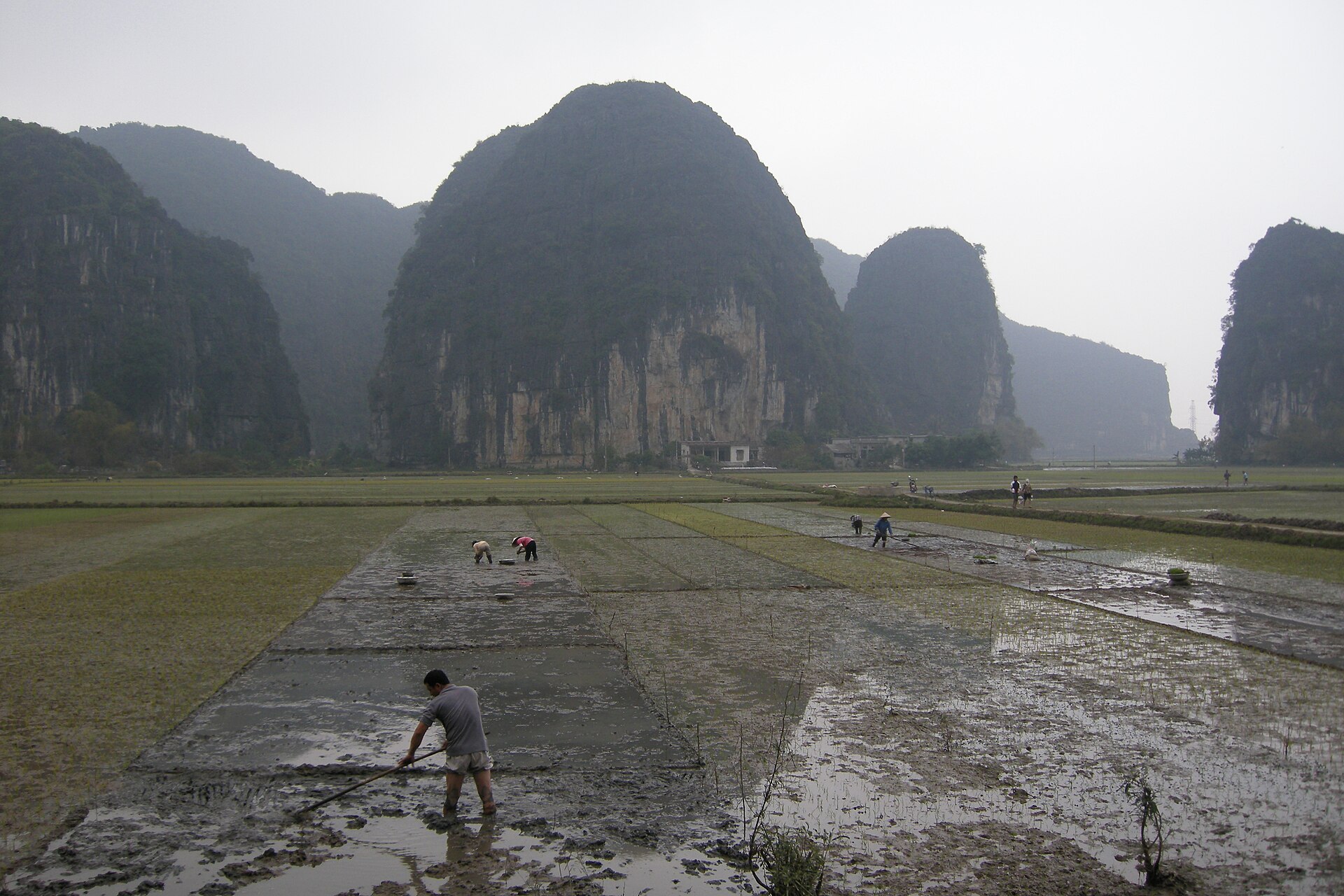 4 Nights — Vietnam Discovery