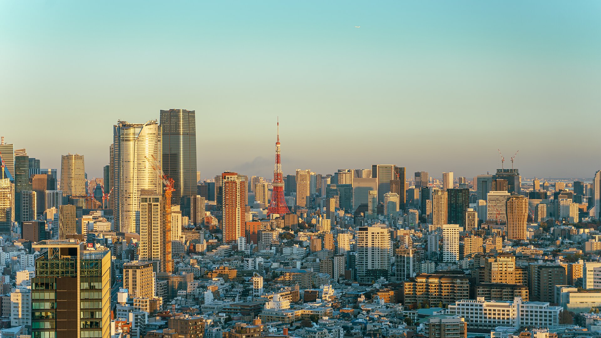 Tokyo + Seoul