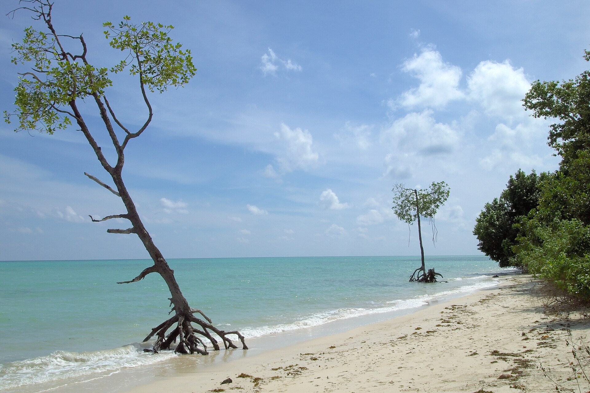 Honeymoon & Beach Holidays