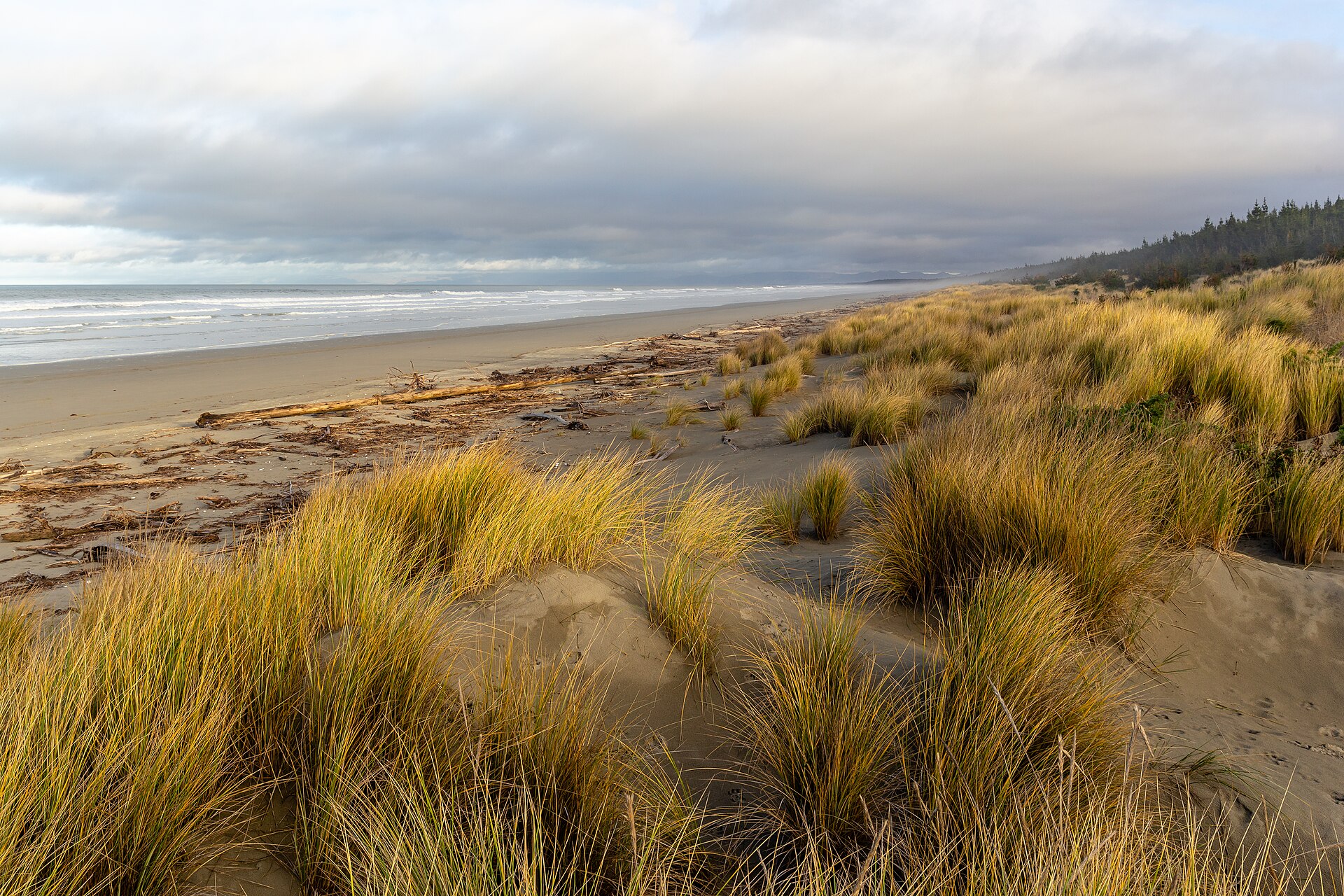 4 Nights — New Zealand Scenic Escape
