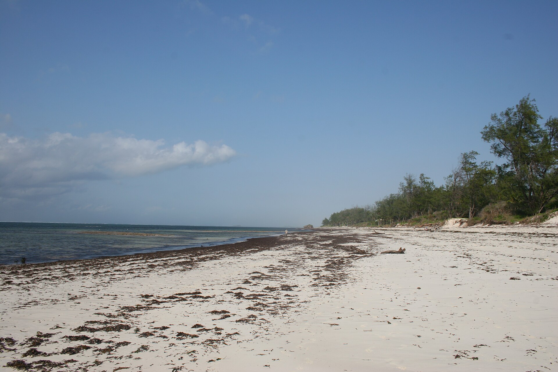 4 Nights — Watamu Beach & Marine Escape